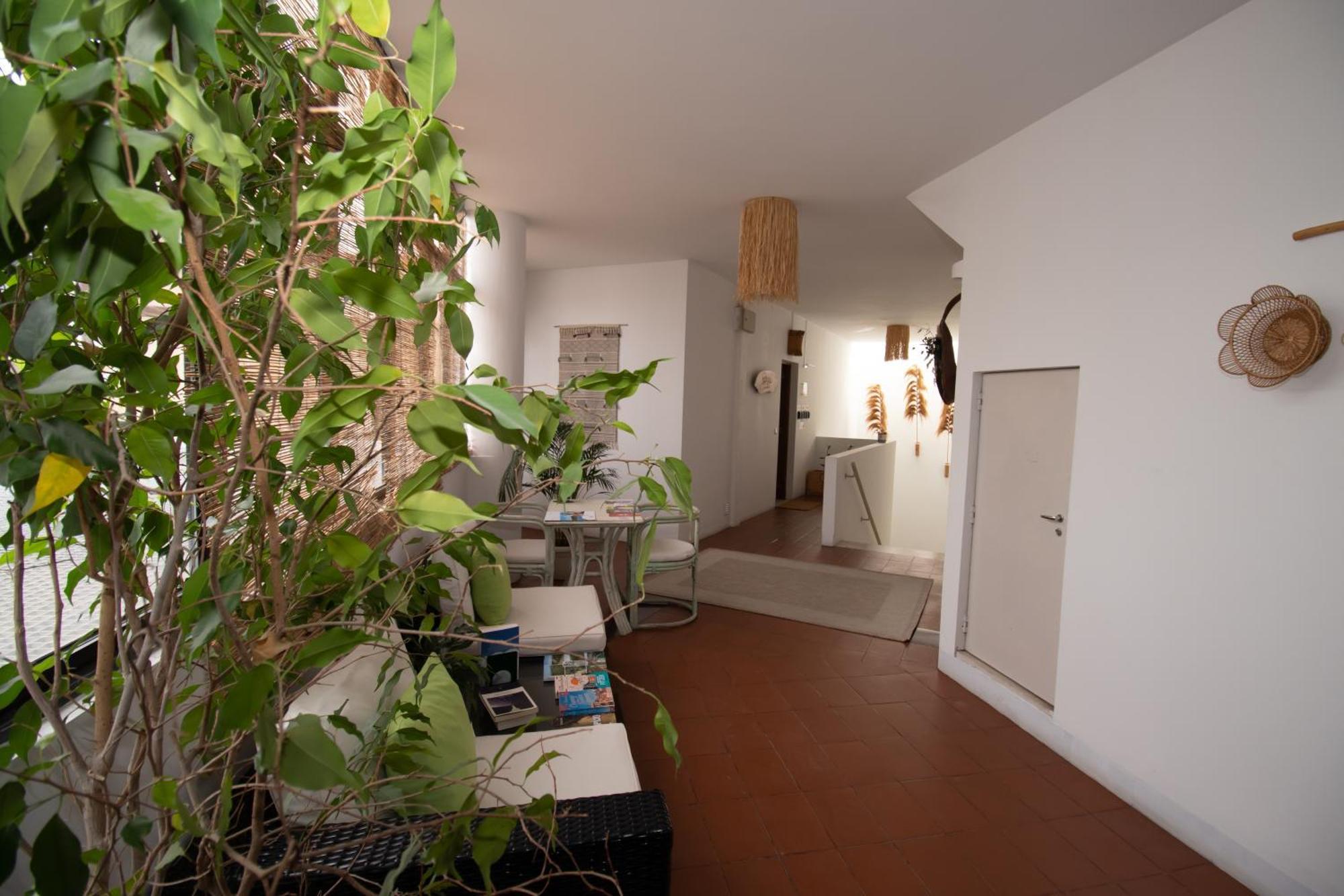 Villa Center - Alojamento Local Grândola Eksteriør billede